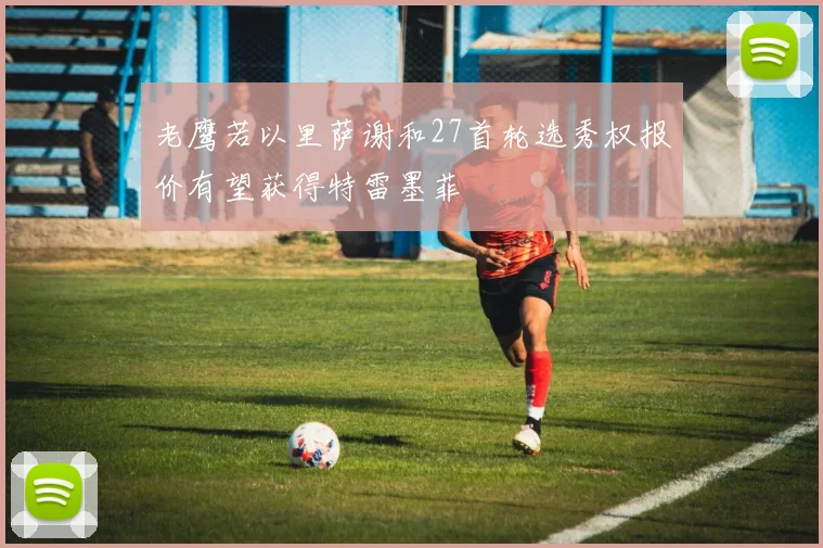 老鹰若以里萨谢和27首轮选秀权报价有望获得特雷墨菲