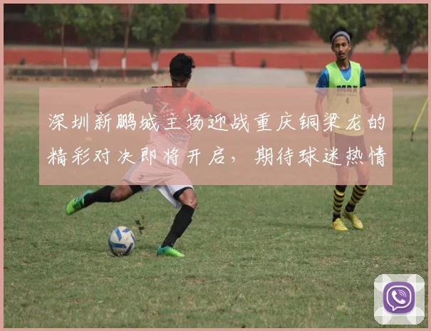 深圳新鹏城主场迎战重庆铜梁龙的精彩对决即将开启，期待球迷热情助威